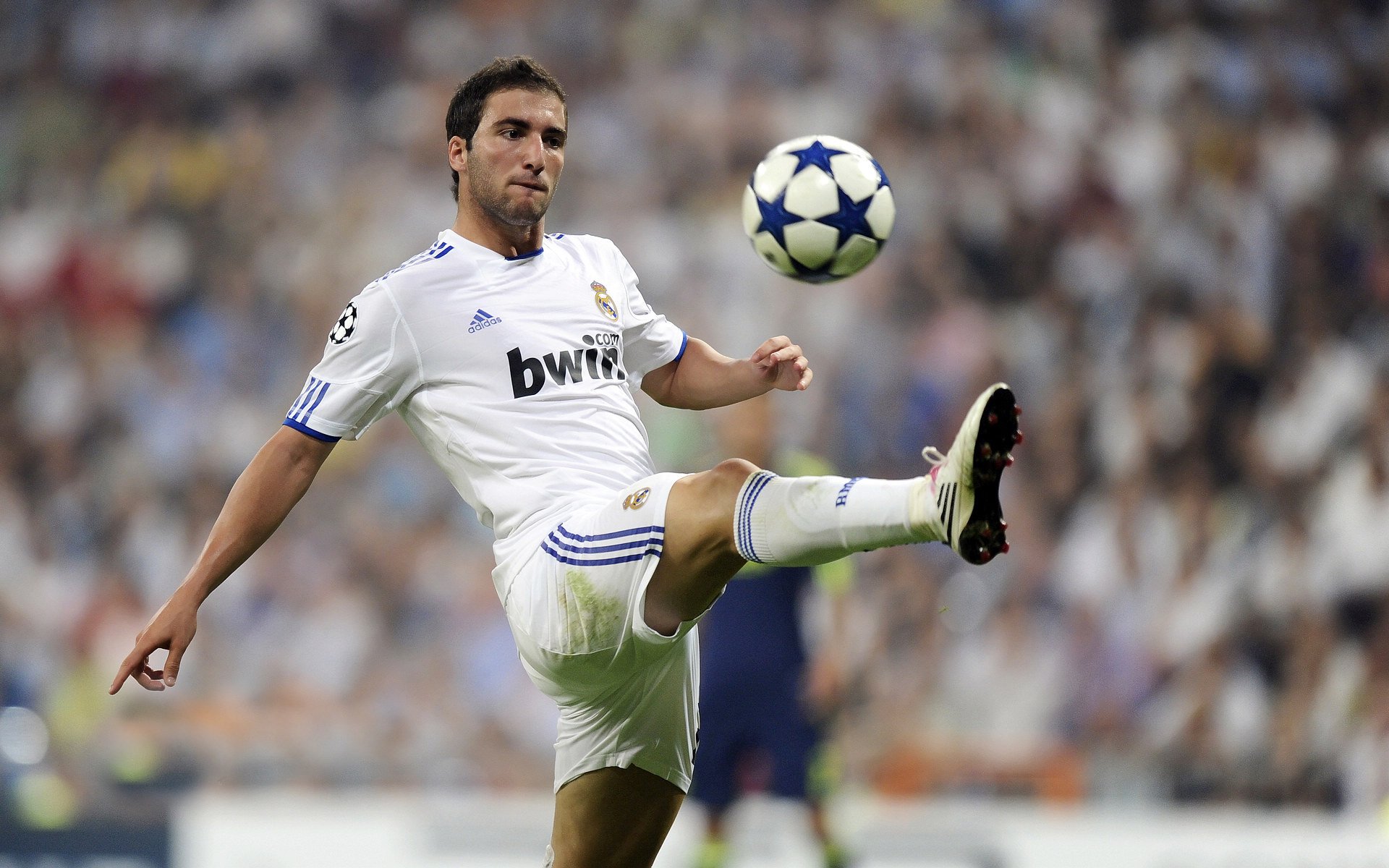 中国摔跤公开赛蒙古式、哈萨克式、汉式三大流派同场竞技